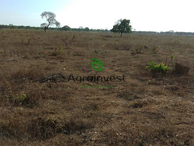 #1232 - Fazenda para Venda em Arinos - MG - 3