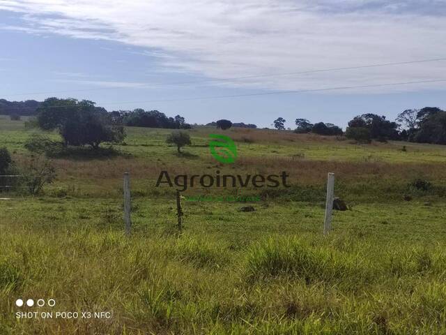 #1236 - Fazenda para Venda em Americano do Brasil - GO