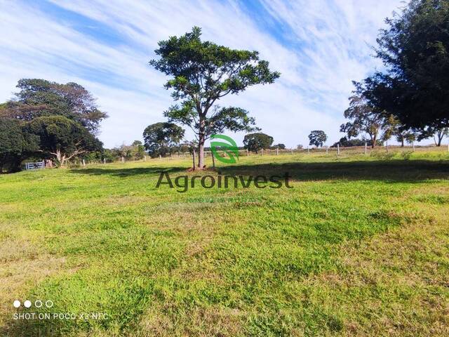 #1236 - Fazenda para Venda em Americano do Brasil - GO