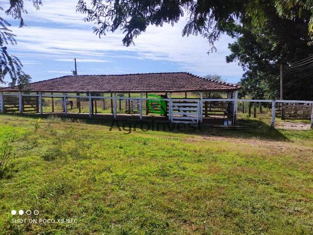 Fazenda para Venda em Americano do Brasil - 5