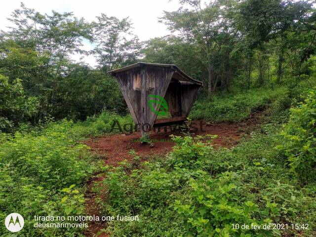 #1238 - Fazenda para Venda em Barro Alto - GO - 3