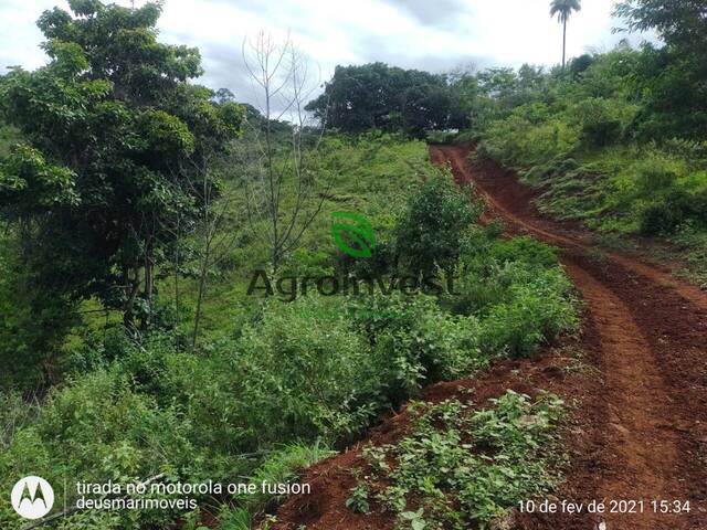 #1238 - Fazenda para Venda em Barro Alto - GO - 2