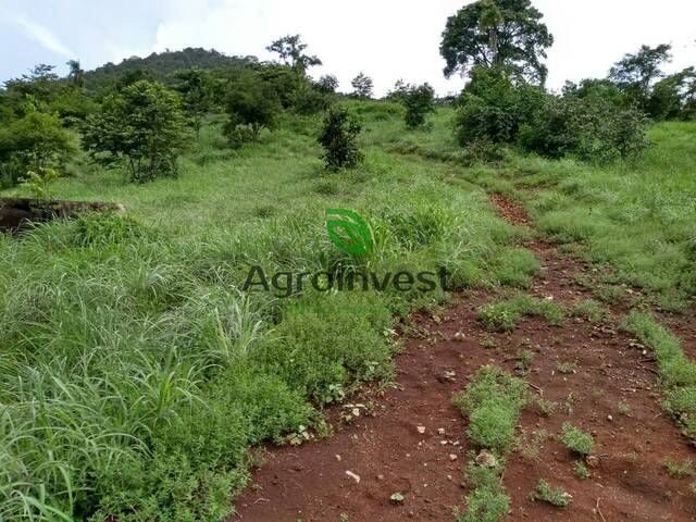 Fazenda para Venda em Barro Alto - 5