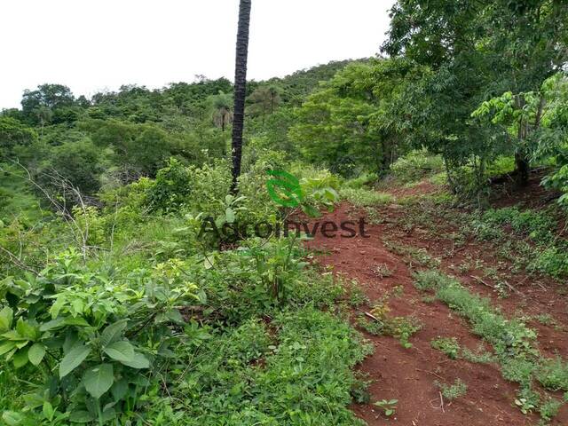 Fazenda para Venda em Barro Alto - 4