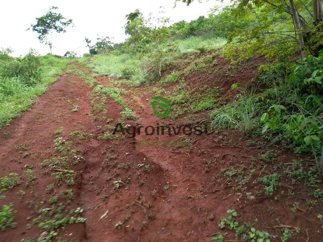 #1238 - Fazenda para Venda em Barro Alto - GO - 1