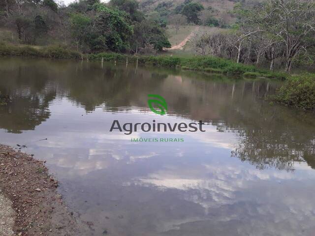 Fazenda para Venda em Cocalzinho de Goiás - 5