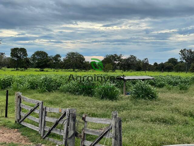 Venda em Zona Rural - Cocalinho