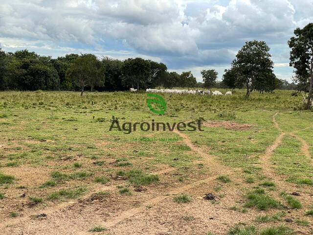 #1241 - Fazenda para Venda em Cocalinho - MT - 2