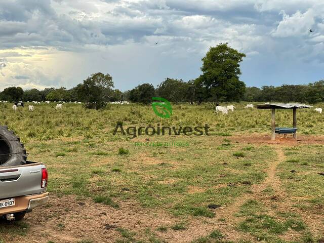 #1241 - Fazenda para Venda em Cocalinho - MT - 3