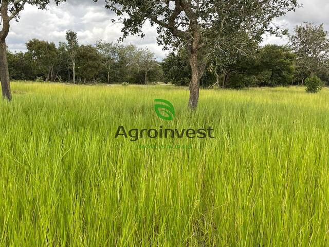 Fazenda para Venda em Cocalinho - 5