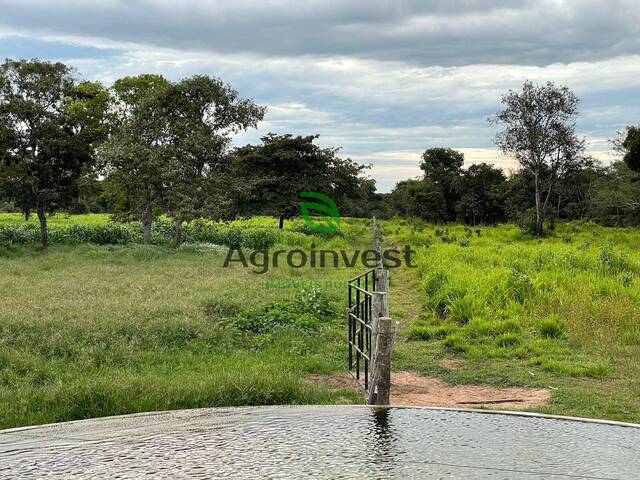 Fazenda para Venda em Cocalinho - 4