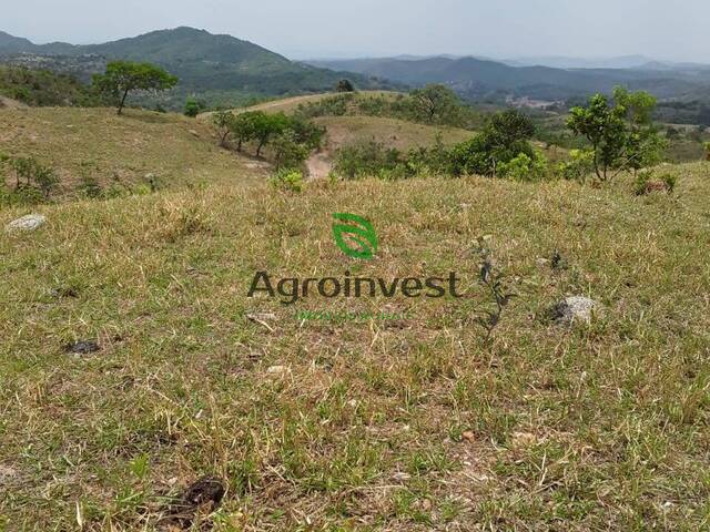 #1243 - Fazenda para Venda em Cocalzinho de Goiás - GO - 2