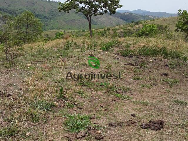 #1243 - Fazenda para Venda em Cocalzinho de Goiás - GO - 1