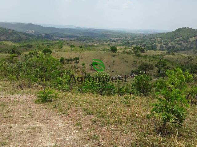 Fazenda para Venda em Cocalzinho de Goiás - 4