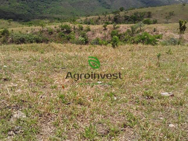 #1243 - Fazenda para Venda em Cocalzinho de Goiás - GO - 3