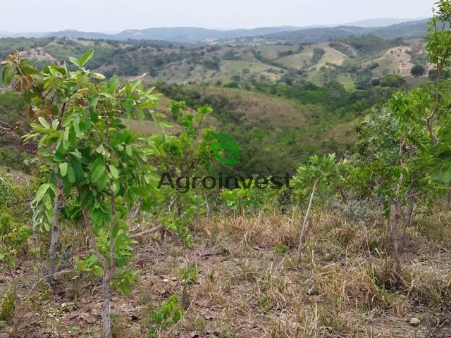 Fazenda para Venda em Cocalzinho de Goiás - 5