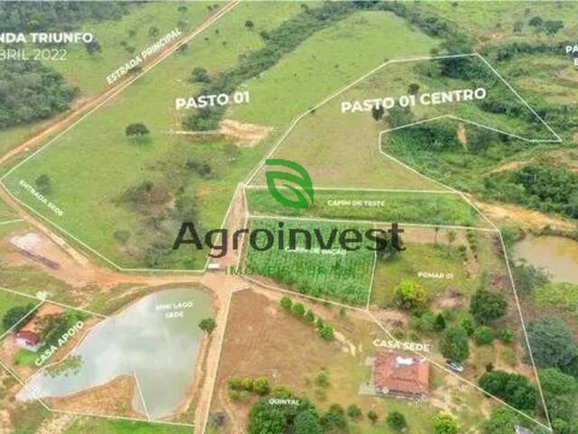 #1246 - Fazenda para Venda em Minaçu - GO - 1