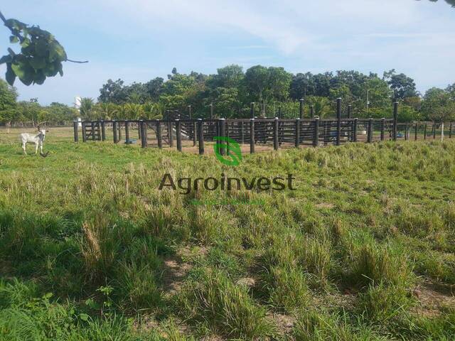 Fazenda para Venda em Niquelândia - 4