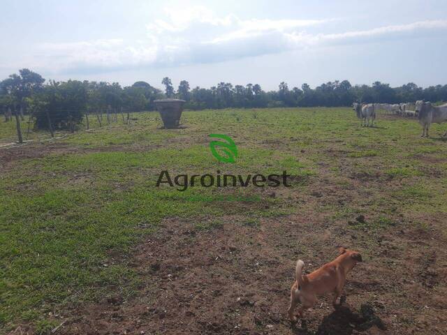 Fazenda para Venda em Niquelândia - 5