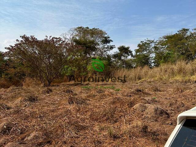 #1249 - Chácara para Venda em Terezópolis de Goiás - GO - 3