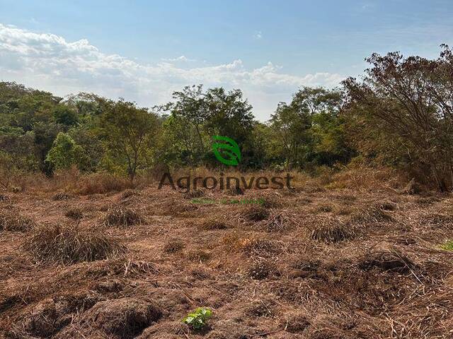 #1249 - Chácara para Venda em Terezópolis de Goiás - GO - 2