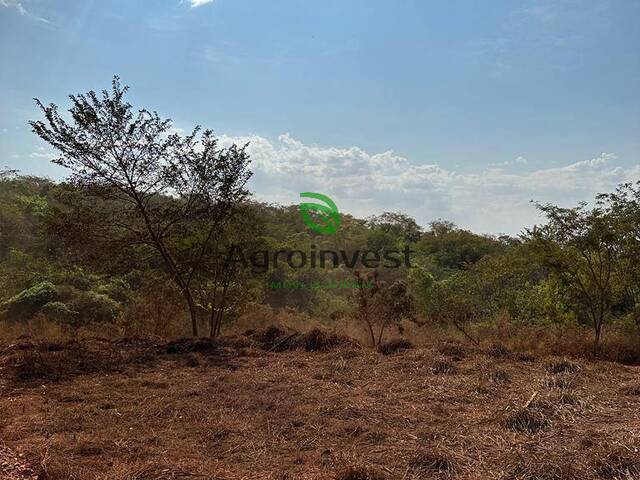 Chácara para Venda em Terezópolis de Goiás - 5