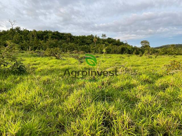 #1251 - Fazenda para Venda em Campos Lindos - TO - 1