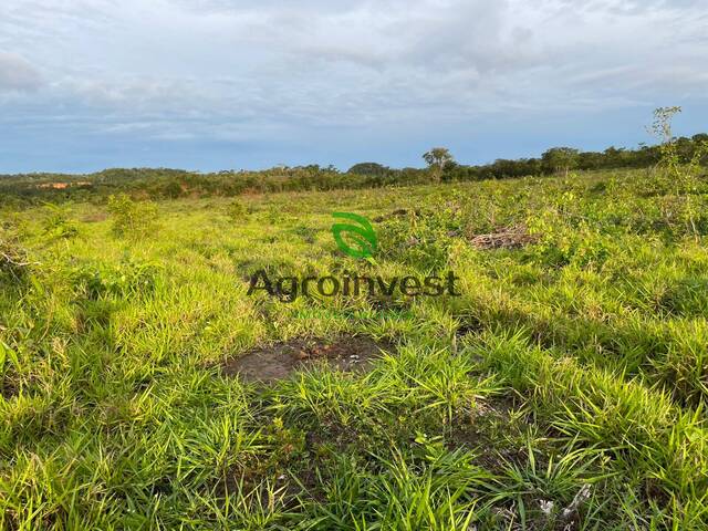 #1251 - Fazenda para Venda em Campos Lindos - TO - 3