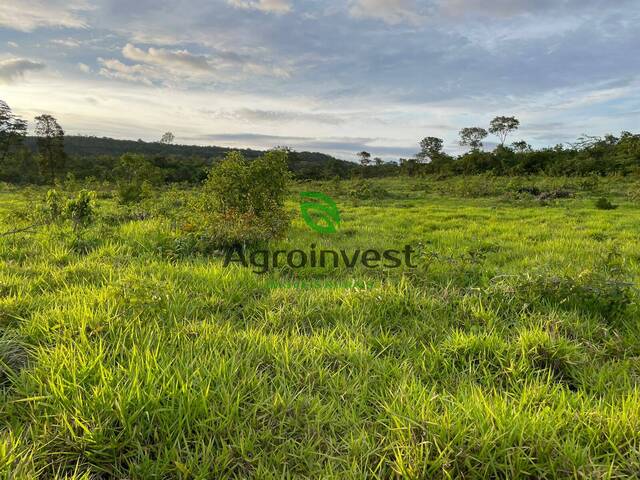 #1251 - Fazenda para Venda em Campos Lindos - TO - 2