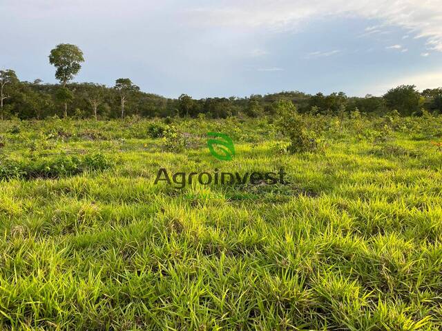 Fazenda para Venda em Campos Lindos - 4