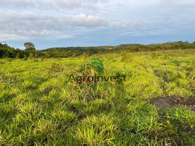 Fazenda para Venda em Campos Lindos - 5