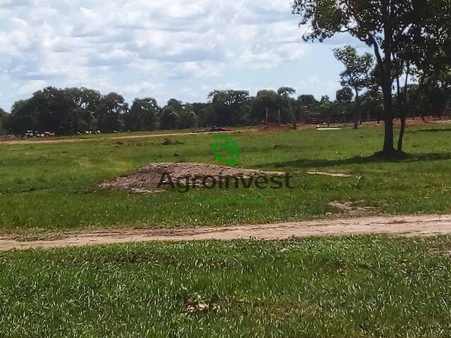 Fazenda para Venda em Nova Crixás - 5