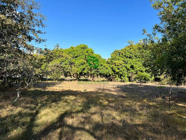 #1163 - Fazenda para Venda em Natividade - TO - 2