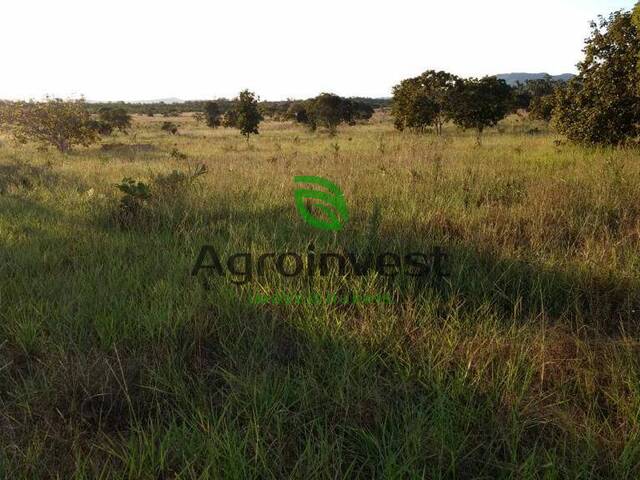 Fazenda para Venda em Natividade - 4