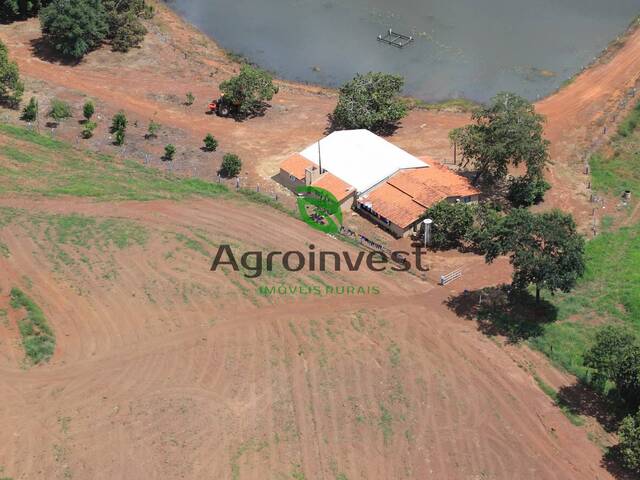 #1254 - Fazenda para Venda em Santa Terezinha de Goiás - GO - 1