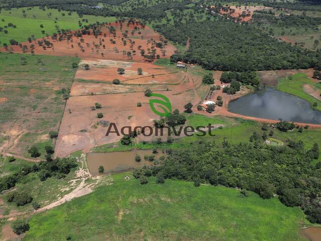 #1254 - Fazenda para Venda em Santa Terezinha de Goiás - GO - 2