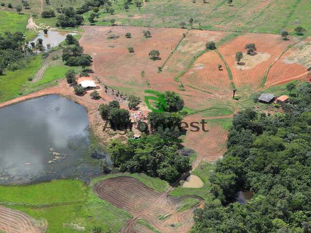 #1254 - Fazenda para Venda em Santa Terezinha de Goiás - GO - 3