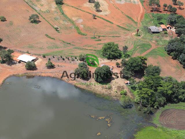 Fazenda para Venda em Santa Terezinha de Goiás - 4