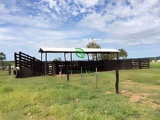 Fazenda para Venda em Ipameri - 4