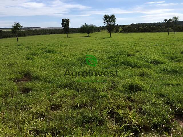 Fazenda para Venda em Ipameri - 5