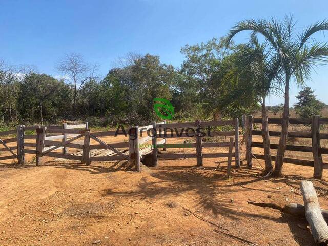 #1267 - Fazenda para Venda em Crixás - GO - 1