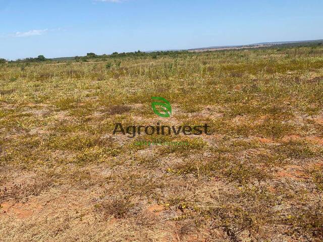 Fazenda para Venda em Crixás - 4