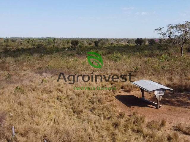 Fazenda para Venda em Crixás - 5