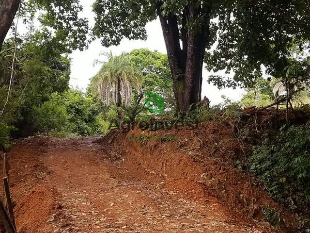 #1271 - Chácara para Venda em Bela Vista de Goiás - GO - 3