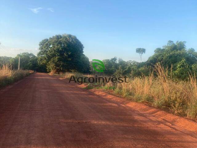 #1274 - Fazenda para Venda em São Miguel do Araguaia - GO