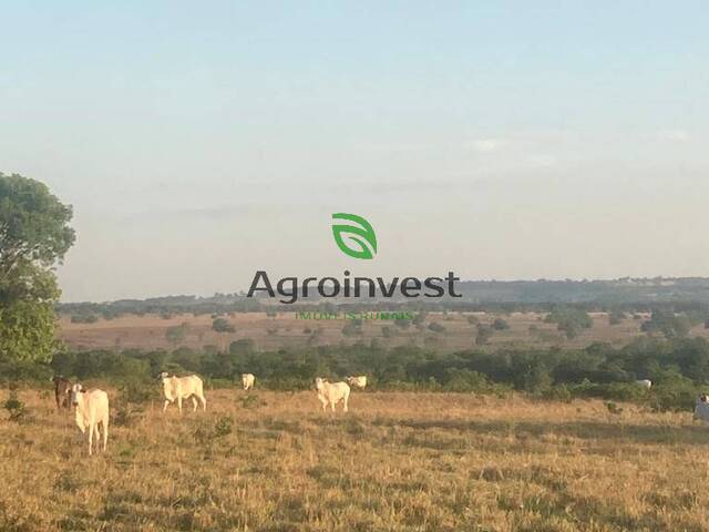 #1274 - Fazenda para Venda em São Miguel do Araguaia - GO