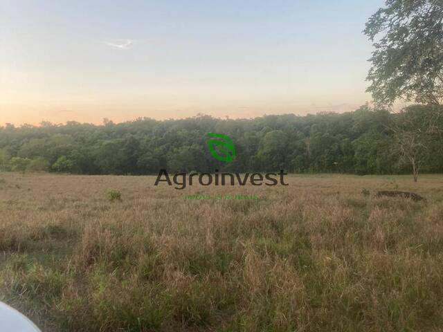 Fazenda para Venda em São Miguel do Araguaia - 4