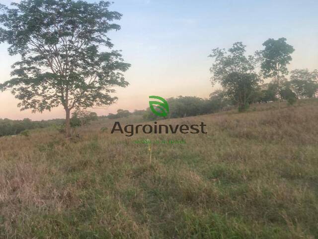 Fazenda para Venda em São Miguel do Araguaia - 5